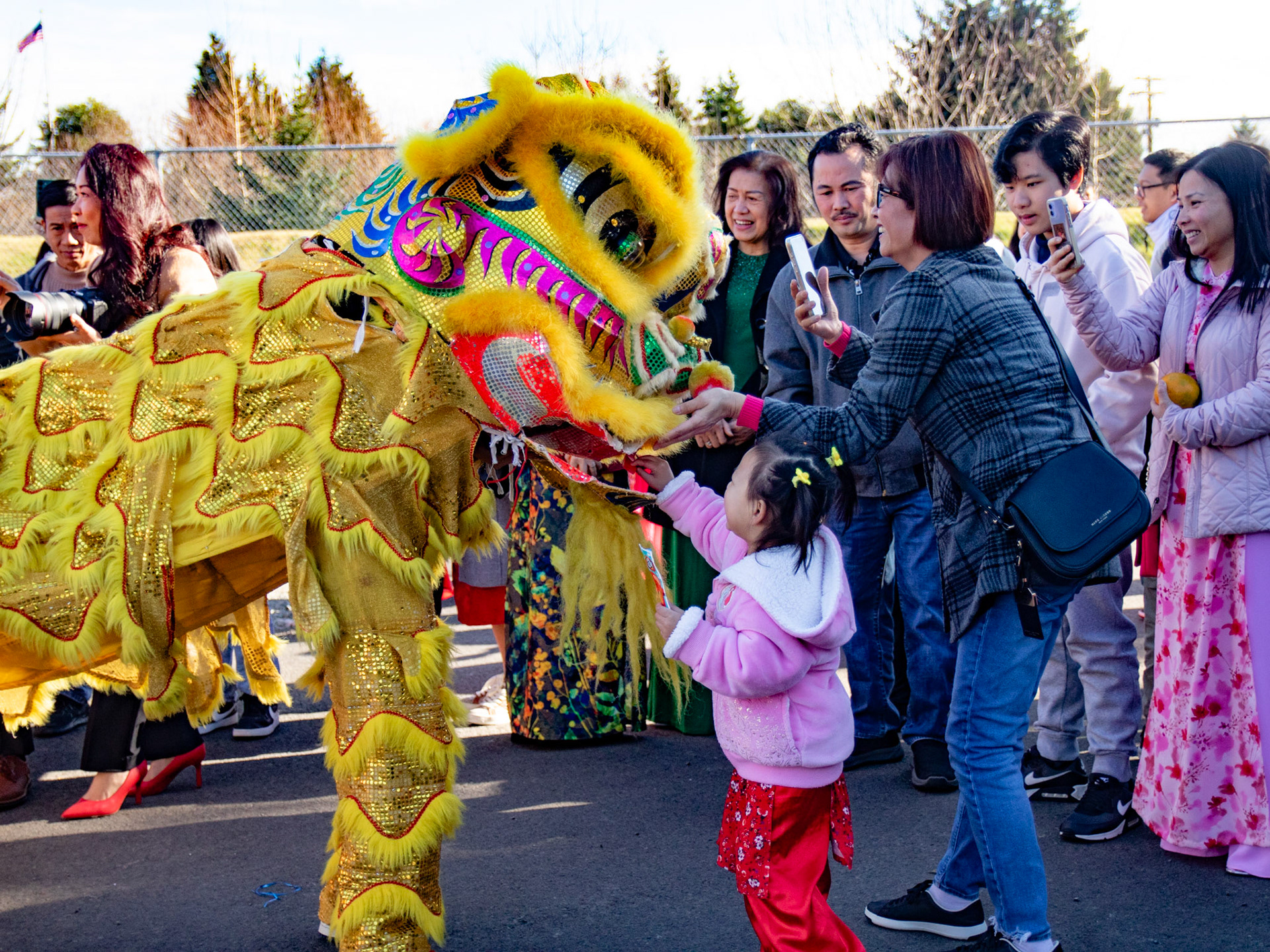Lion Dance Performance
