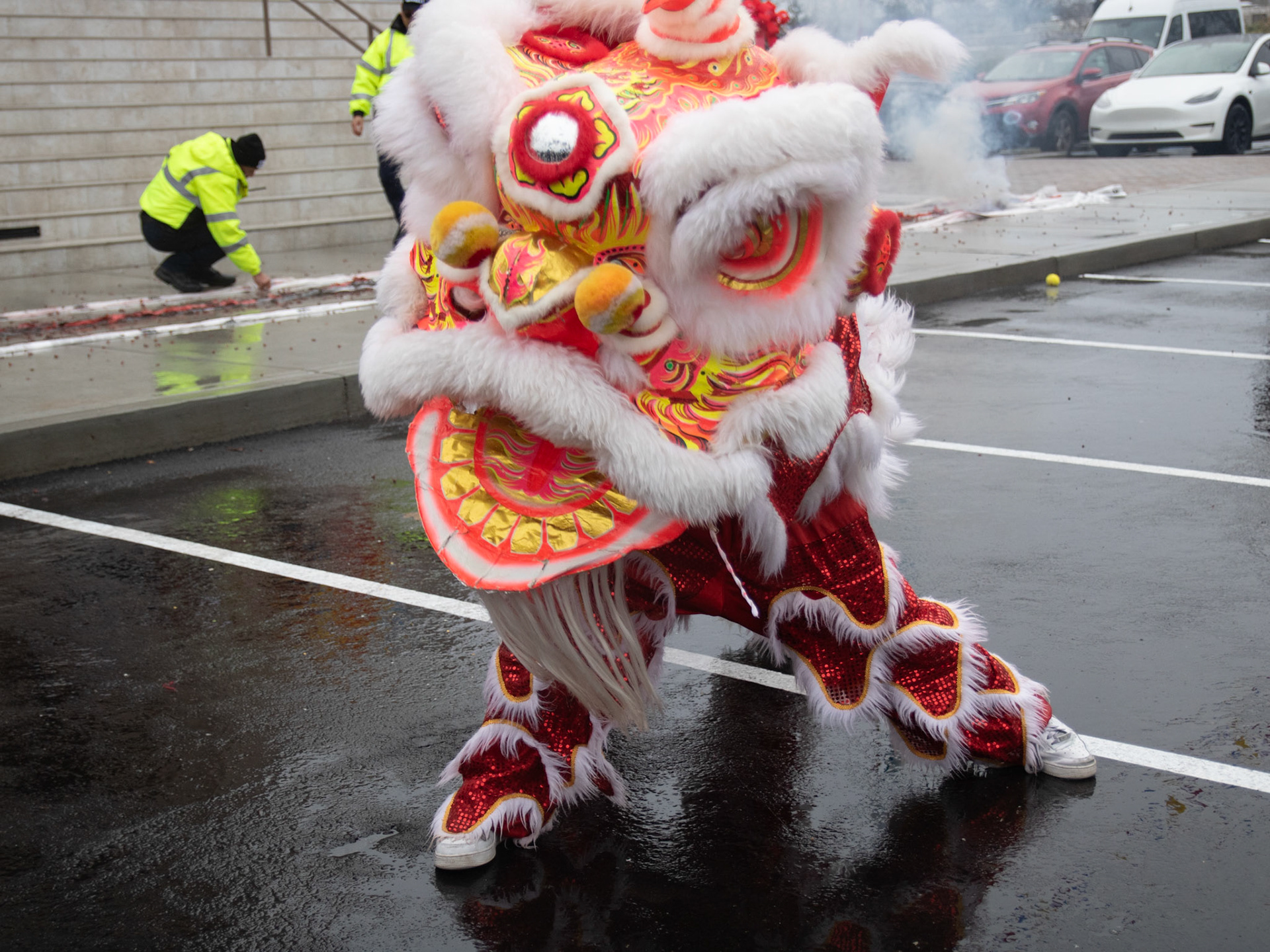 Lion Dance Performance