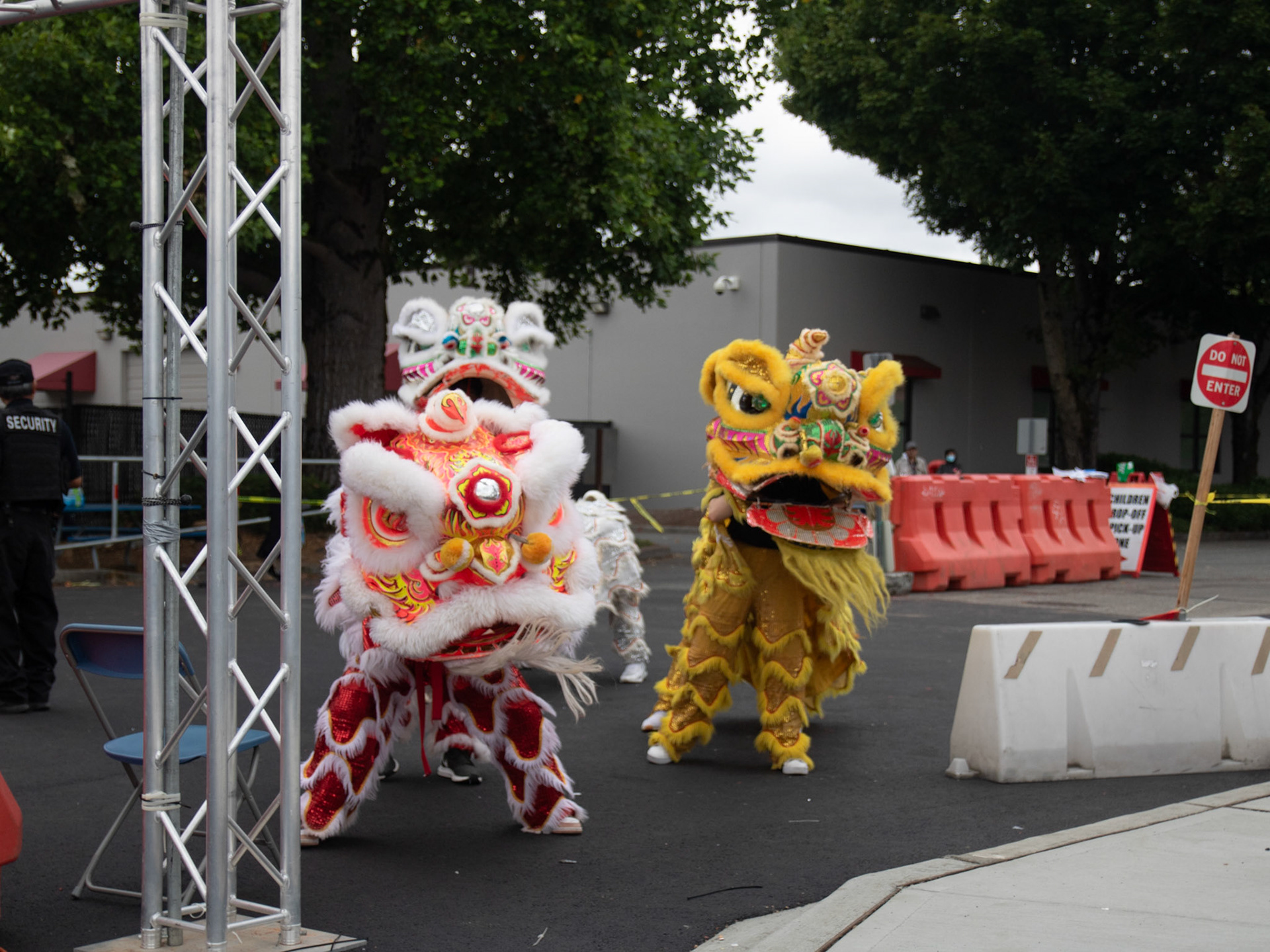 Lion Dance Performance