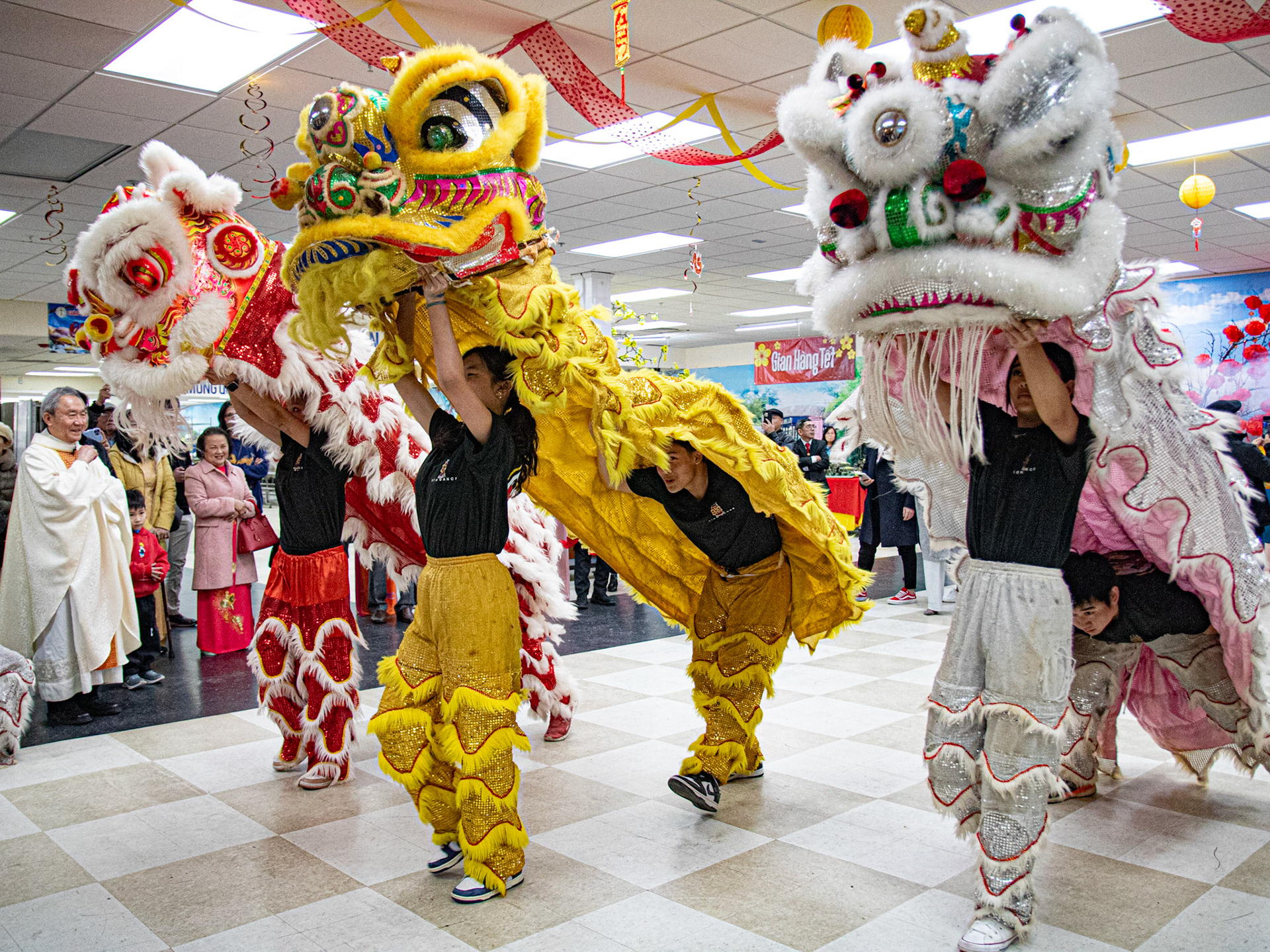Lion Dance Performance