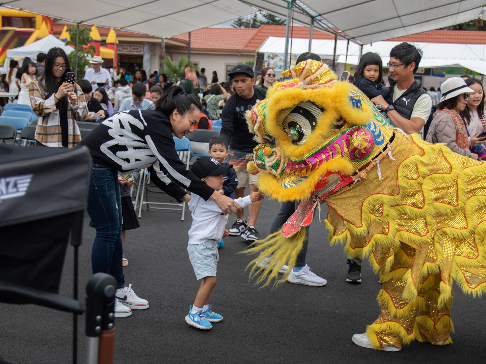 Lion Dance Performance